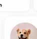 Ana y su mascota